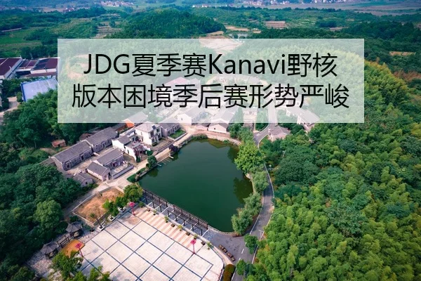 JDG夏季赛Kanavi野核版本困境季后赛形势严峻