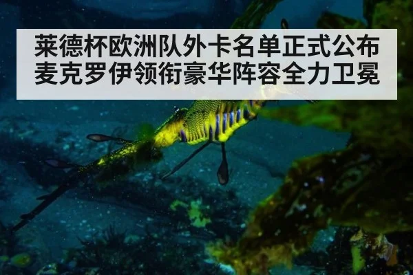 莱德杯欧洲队外卡名单正式公布 麦克罗伊领衔豪华阵容全力卫冕