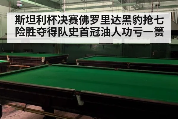 斯坦利杯决赛佛罗里达黑豹抢七险胜夺得队史首冠油人功亏一篑